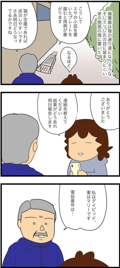 ねこちゃんがいなくなった13