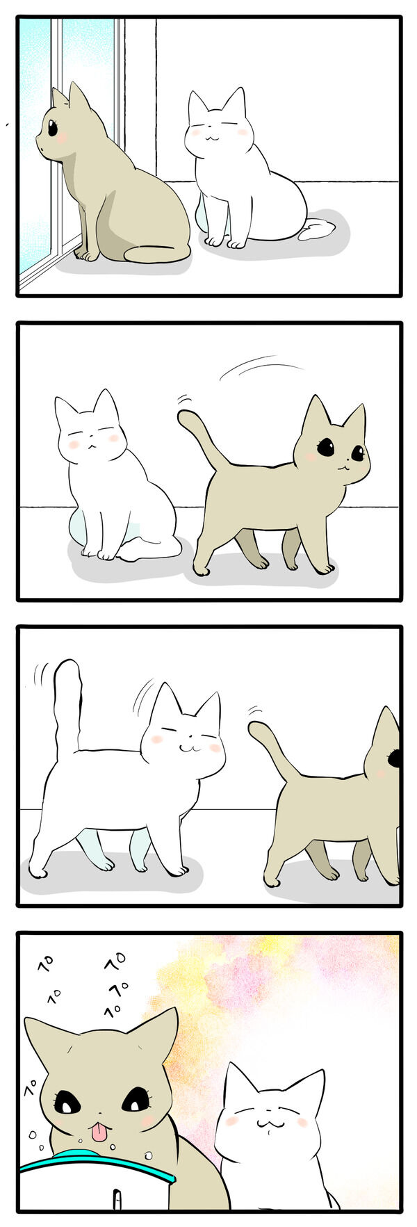 お姉ちゃんを見失わない猫