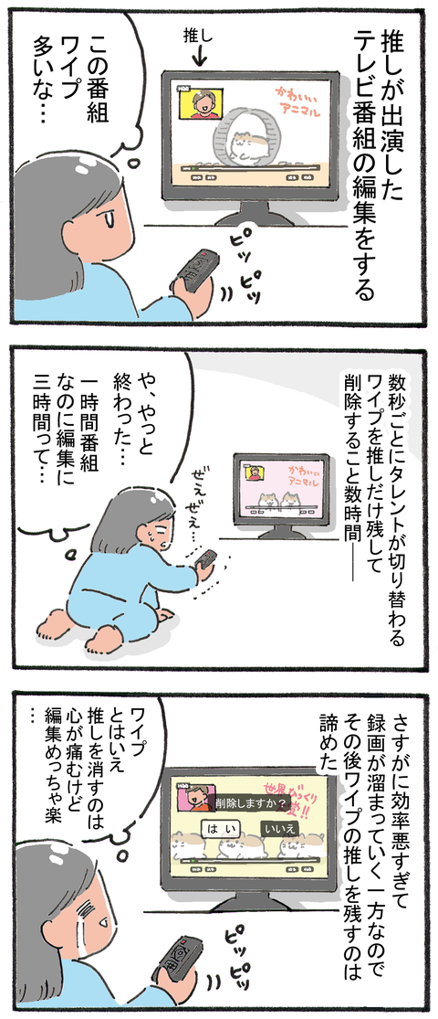 おたく泣かせのワイプ多用番組