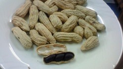 201002061619000