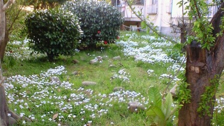201104131549000