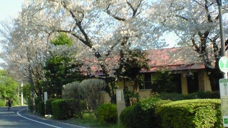 201104131539000