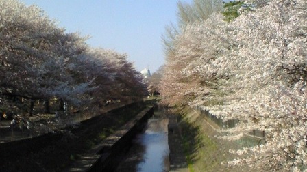 201104131523000