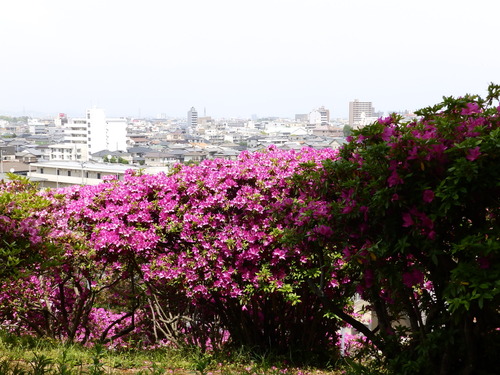 P5030145