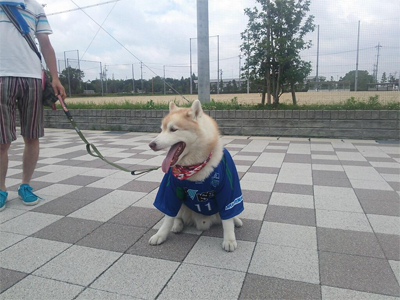 130616_suzuka