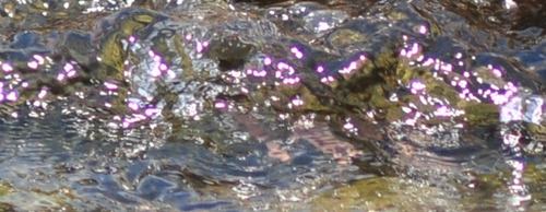 20110715_114558_01-1
