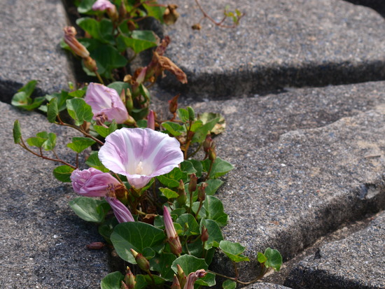 20100601_09