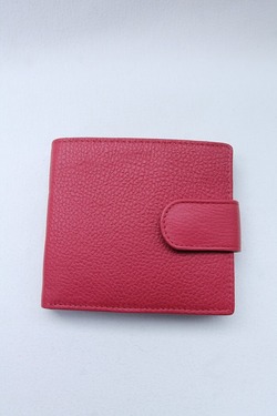 DENTS ”Beauley Pebble Grain Leather BERRY”231104 (3)