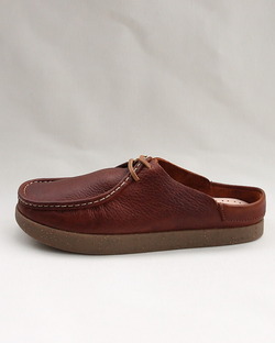 ZARDUS ”LOPES III Brave Cat CHESTNUT” 260319 (5)