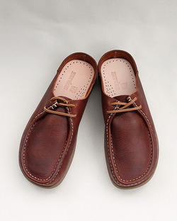 ZARDUS ”LOPES III Brave Cat CHESTNUT” 260319