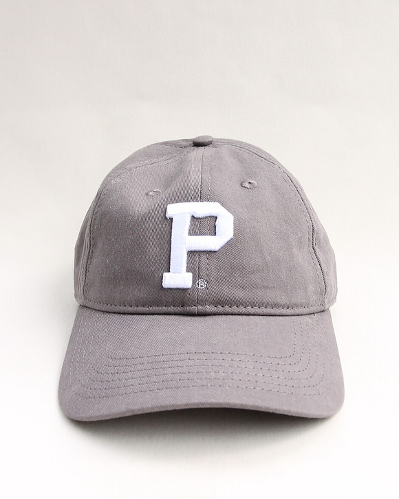 PORTLAND GEAR ”Dad Hat GRAY (2)