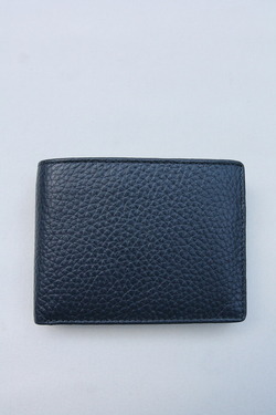 DENTS 5509 with Card Cace BLUE