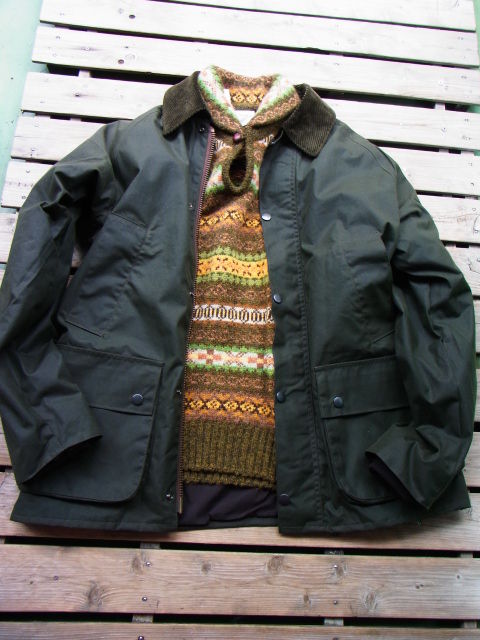 RIMG0231