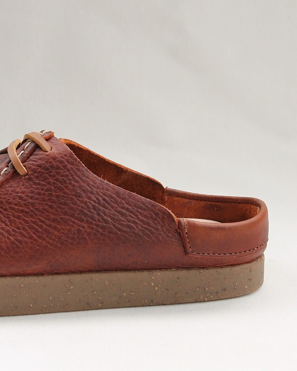 ZARDUS ”LOPES III Brave Cat CHESTNUT” 260319 (6)