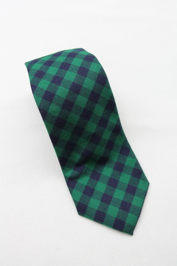 CANDIDUM Bright Check Tie GREEN X BLUE (4)