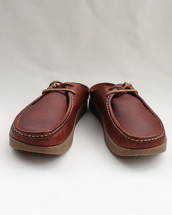 ZARDUS ”LOPES III Brave Cat CHESTNUT” 260319 (2)