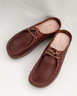 ZARDUS ”LOPES III Brave Cat CHESTNUT” 260319 (3)