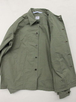 NOUN Italy OLIVE (4)