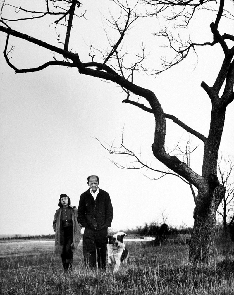 Paul Jackson Pollock