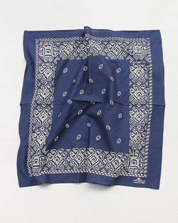 CAMCO ”Bandana NAVY”260212