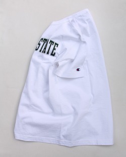 CHAMPION ”1011 SS T MICHIGAN”240410 (4)