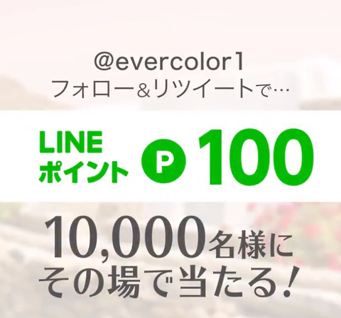 evercolor20190822