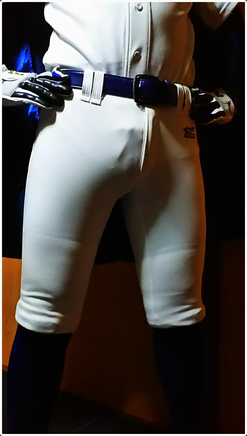 ブログDSC_5022png