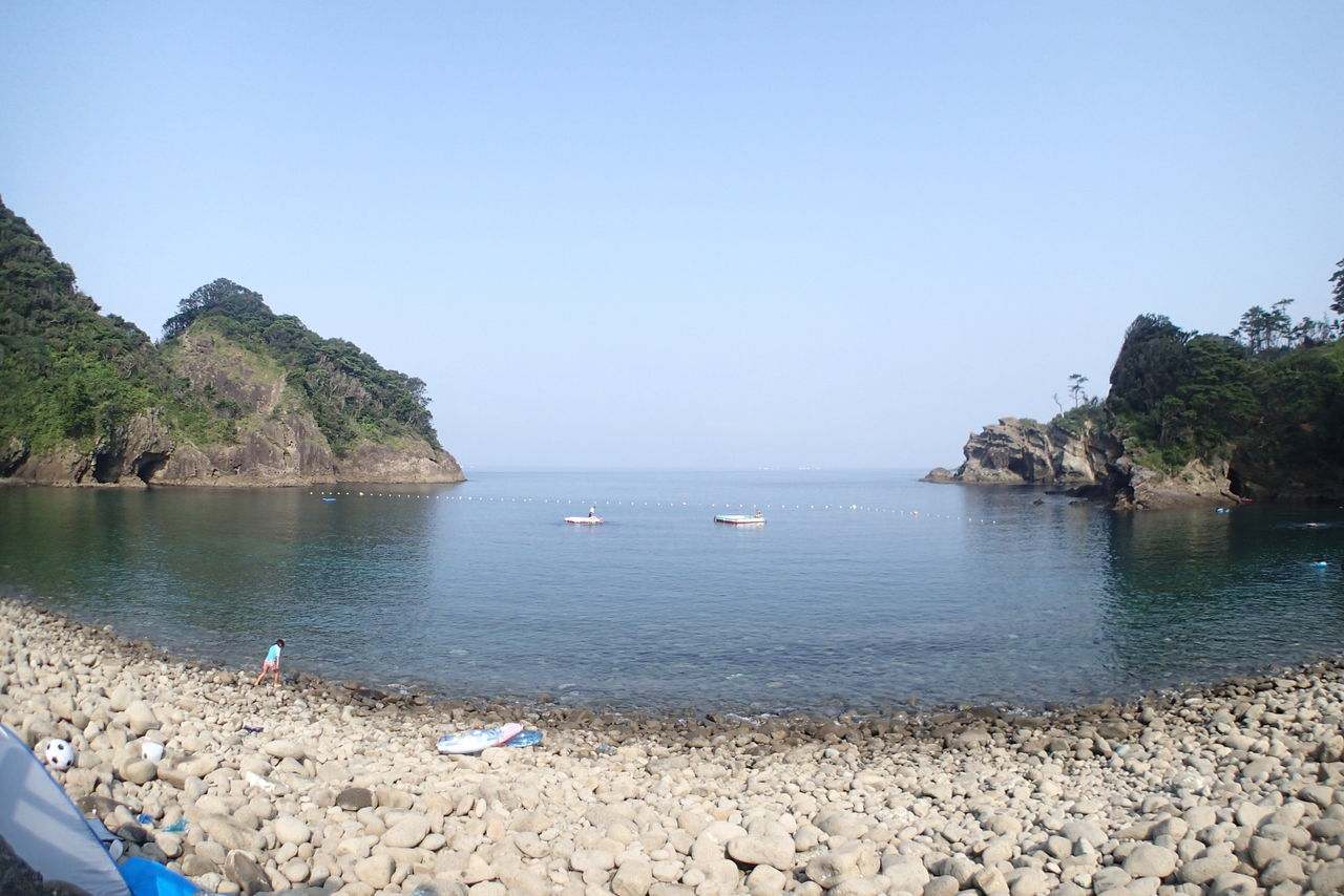 西伊豆 浮島海岸でシュノーケリング イルカと泳ぐ 西伊豆 浮島海岸でシュノーケリング イルカと泳ぐ