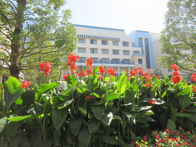 ディズニーアンバサダーホテル エンパイア グリル メメント モリ くも膜下出血サバイバー