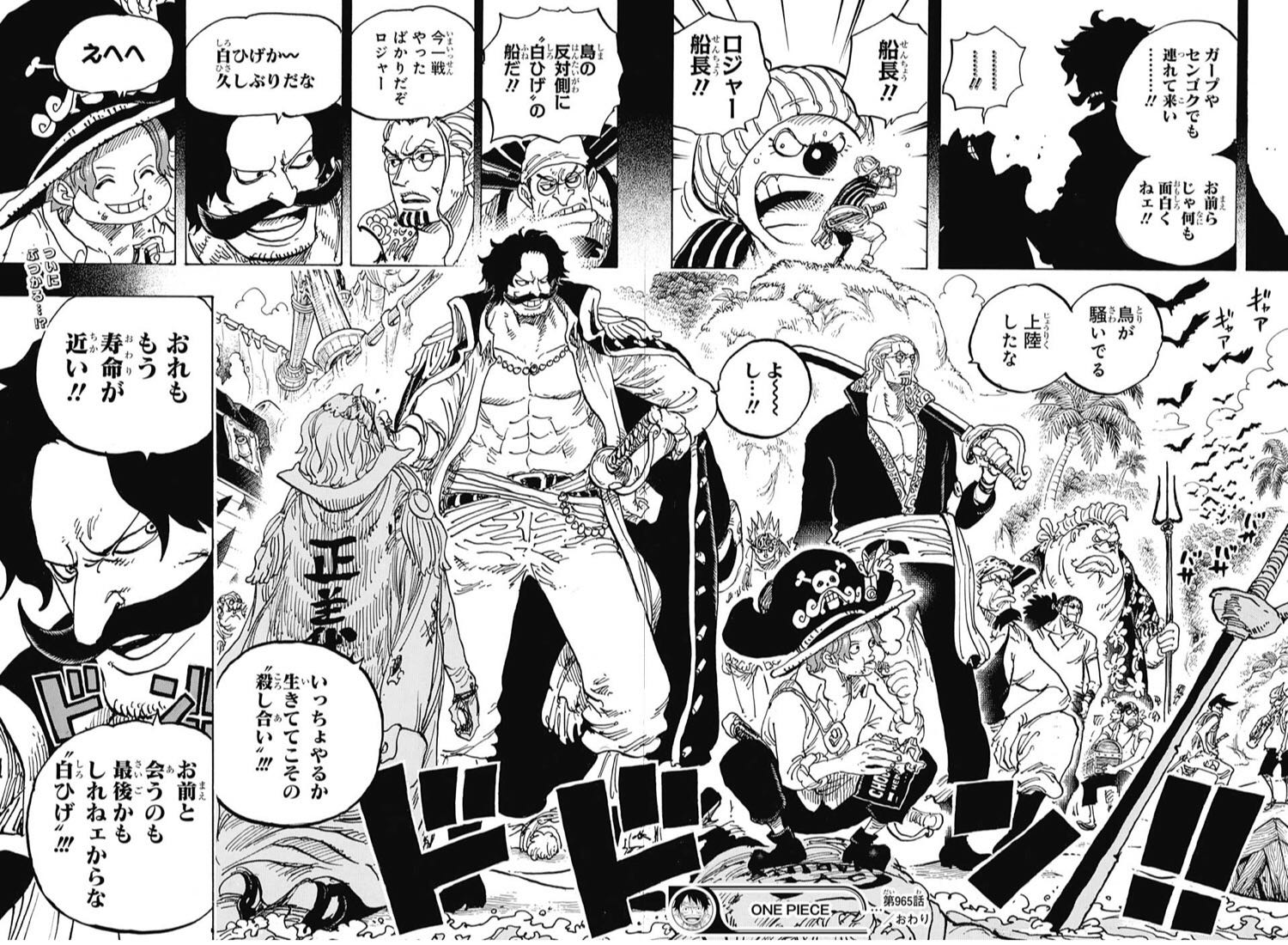 ワンピース フューチャー ヴィジョン