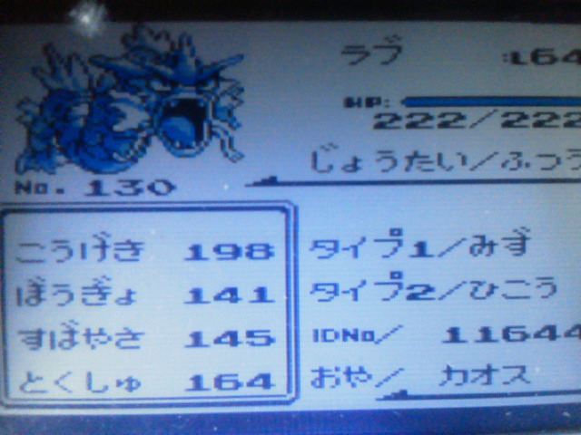 ポケットモンスター フューチャー ヴィジョン