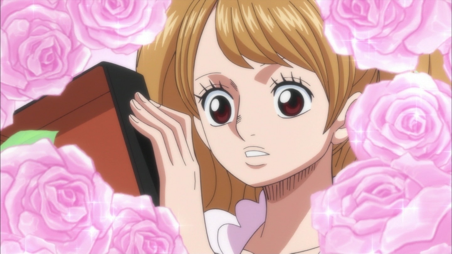 ワンピース フューチャー ヴィジョン