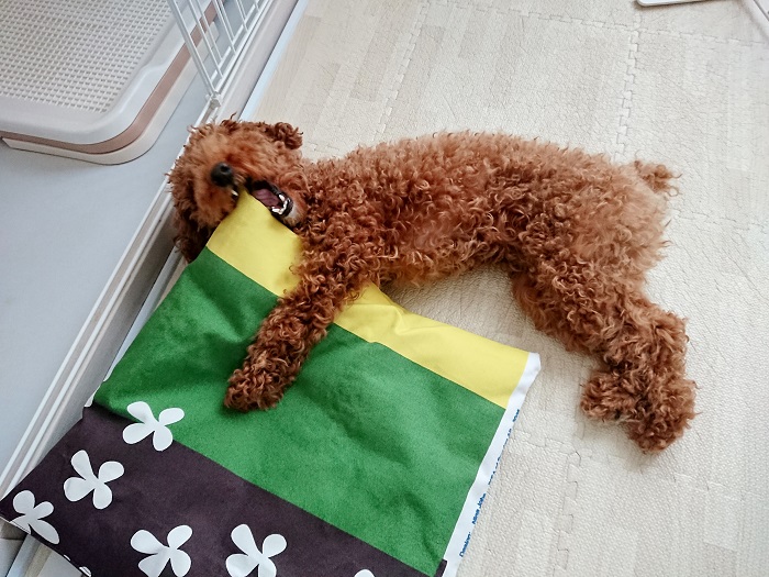 ikeaの生地で犬用の座布団作りました 大好き北欧な暮らし Powered By ライブドアブログ ikeaの生地で犬用の座布団作りました 大好き北欧な暮らし Powered By ライブドアブログ