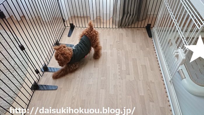 子犬とインテリアは難しいゾ の巻 大好き北欧な暮らし Powered By ライブドアブログ