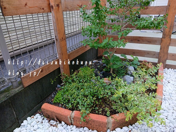 細々と庭いじり 大好き北欧な暮らし Powered By ライブドアブログ