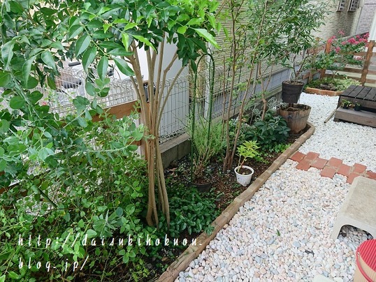 最近の庭の様子 年8月 大好き北欧な暮らし
