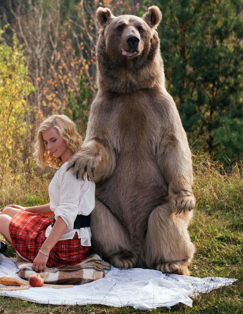 ロシアの夫婦 巨大な熊と共に生活をしている様子がコレ グリズリーデカすぎワロタ World Of Zoo