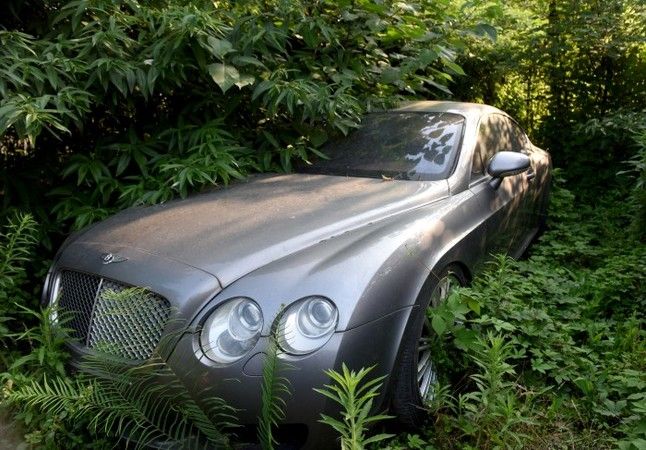 ベントレーなどの高級車0台が草むらに放置される 乗物関係 まとめ ベントレーなどの高級車0台が草むらに放置される 乗物関係 まとめ