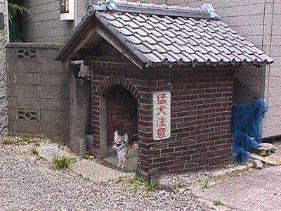 母が自作した犬小屋がすごいwww World Of Zoo 母が自作した犬小屋がすごいwww World Of Zoo