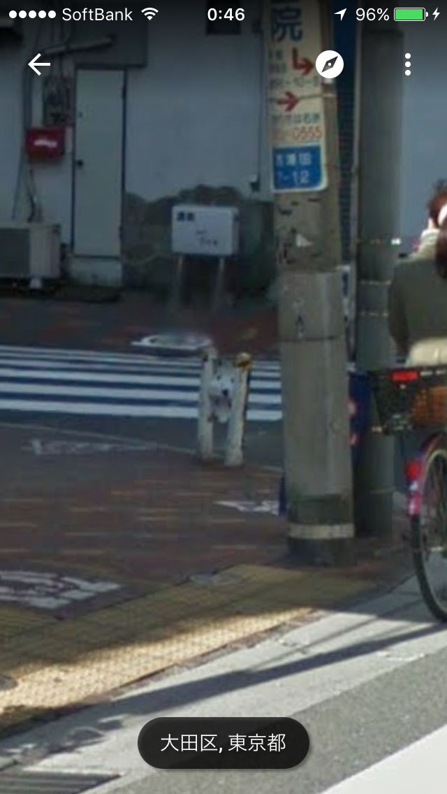 ガードレールが犬に見えたらおしまい World Of Zoo ガードレールが犬に見えたらおしまい World Of Zoo