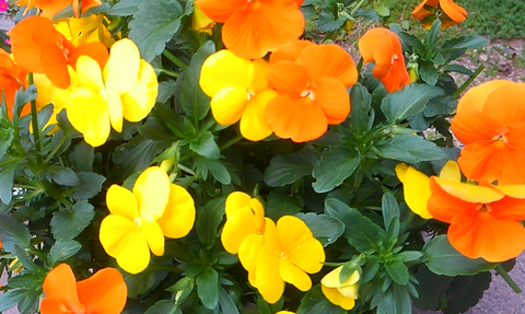 screenshotshare_20150401_153212