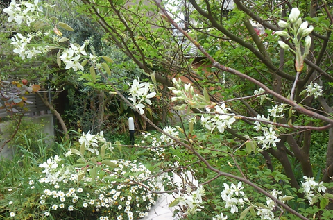 screenshotshare_20150408_173244