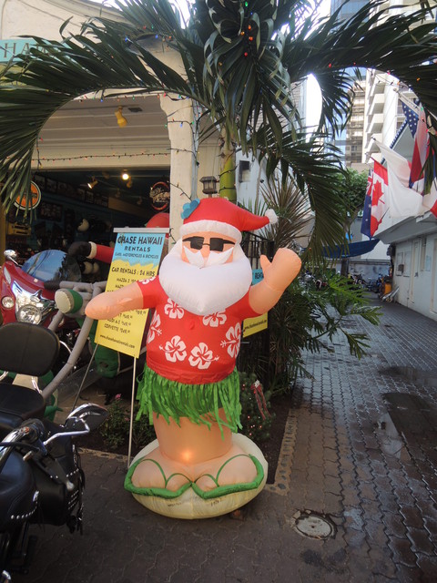 �ϥ磻�Υ��󥿥�������