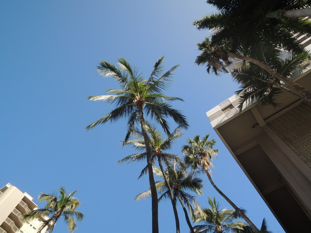 �ϥ磻���Ķ���