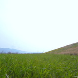 R0017915