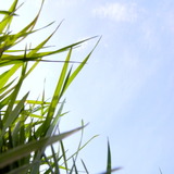 R0017925