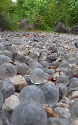 R0018306