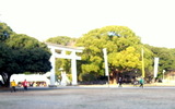 R0017728