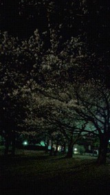 2011040420100000