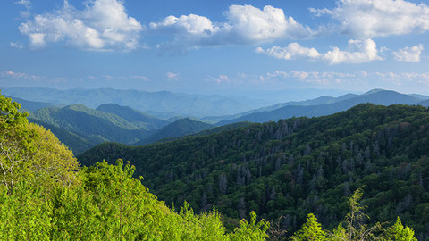 20552-great-smoky-mountains-national-park-landscape-c 20552-great-smoky-mountains-national-park-landscape-c